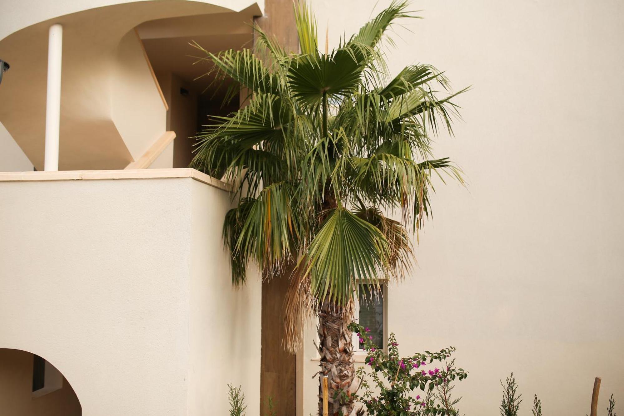 Modern Flat With Montgo View Apartment Denia Exterior photo